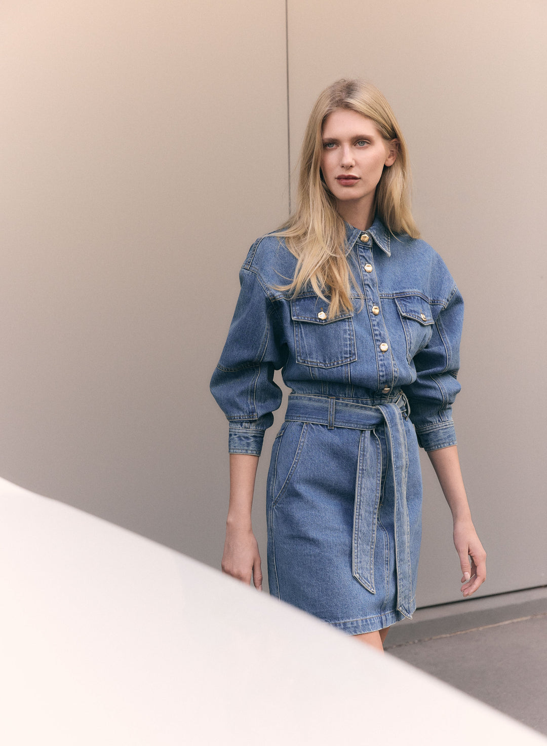 Terminal Denim Dress Esmaee