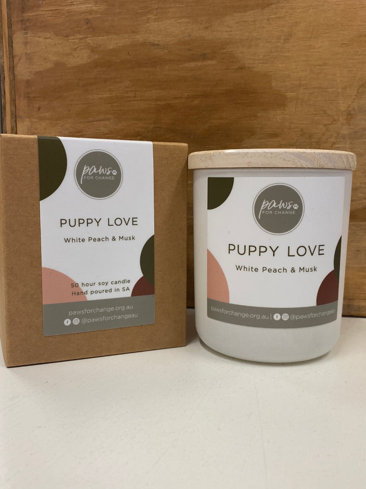 paws for change candles
