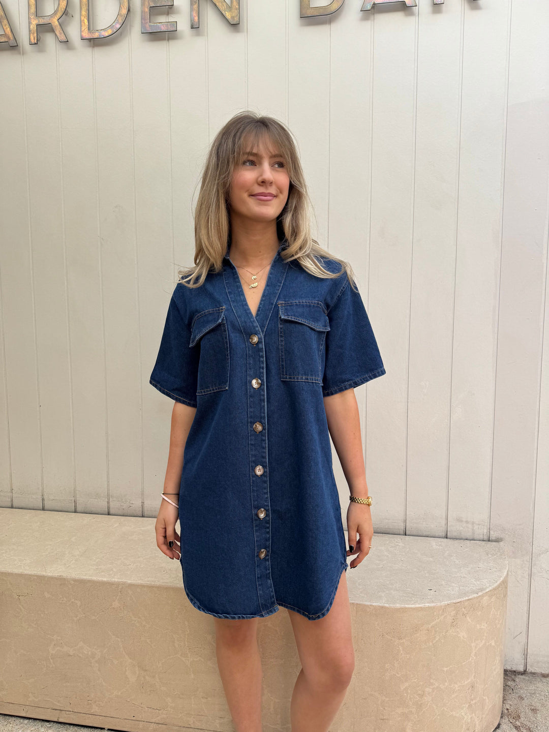 by frankie denim dress