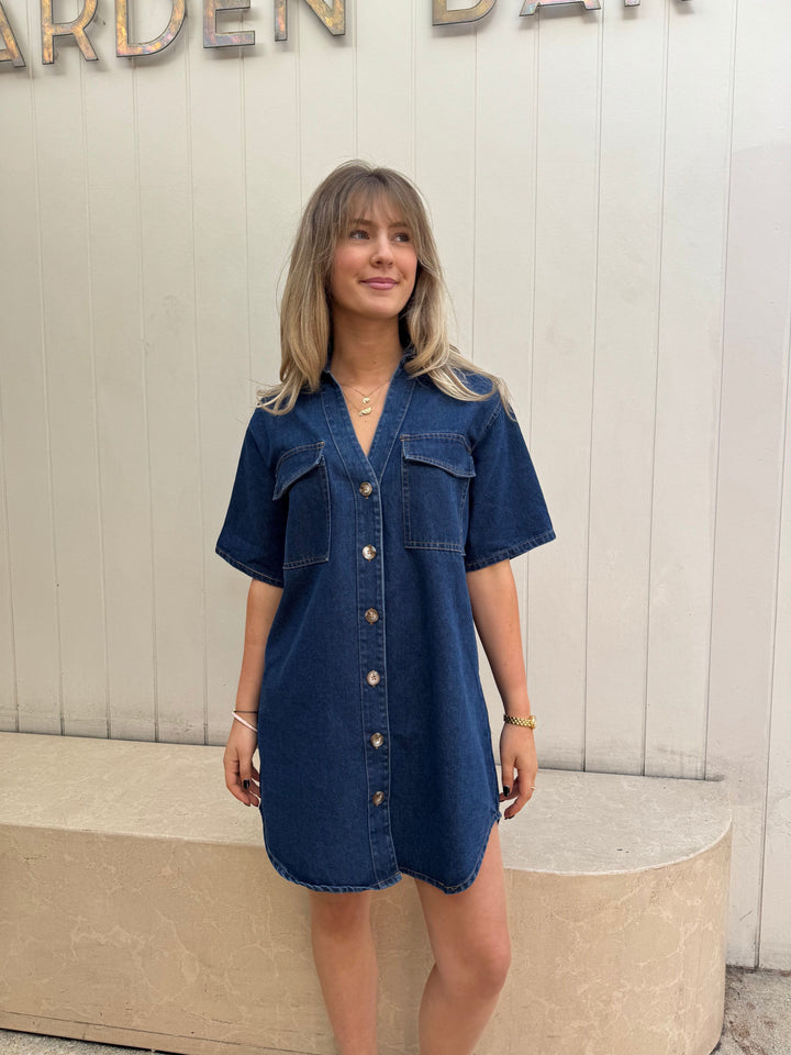 by frankie denim dress