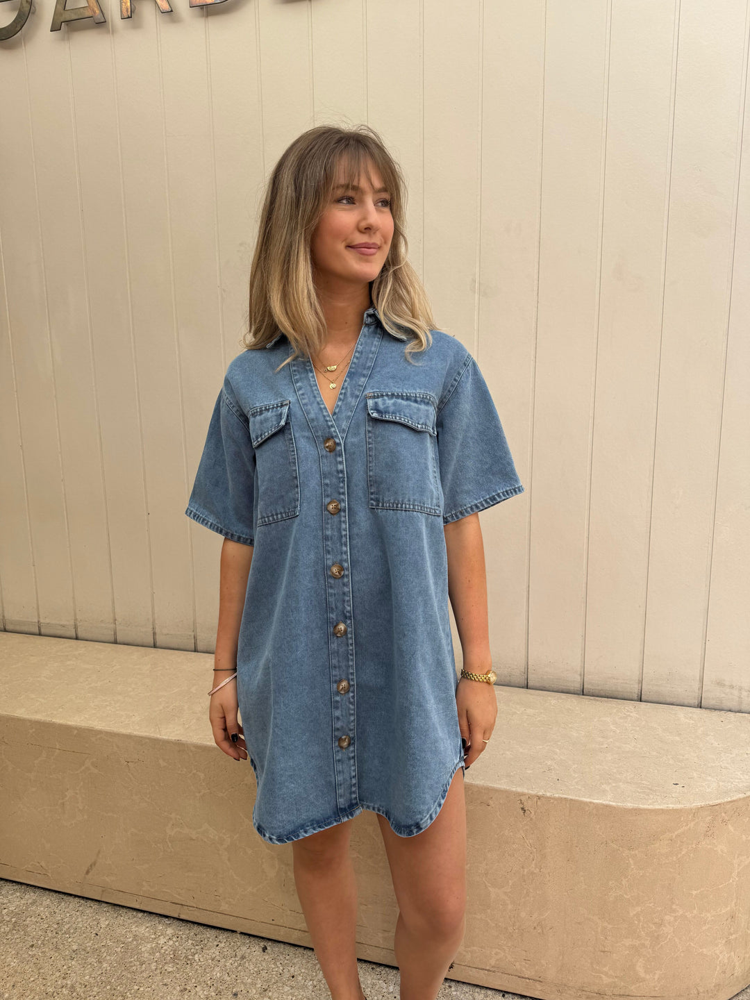 by frankie light denim dress