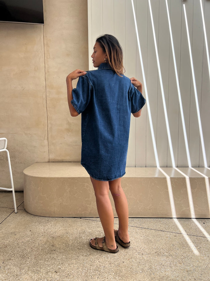 Harriet Denim Button Dress