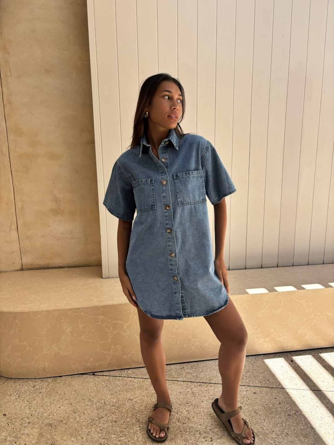 by frankie denim dress