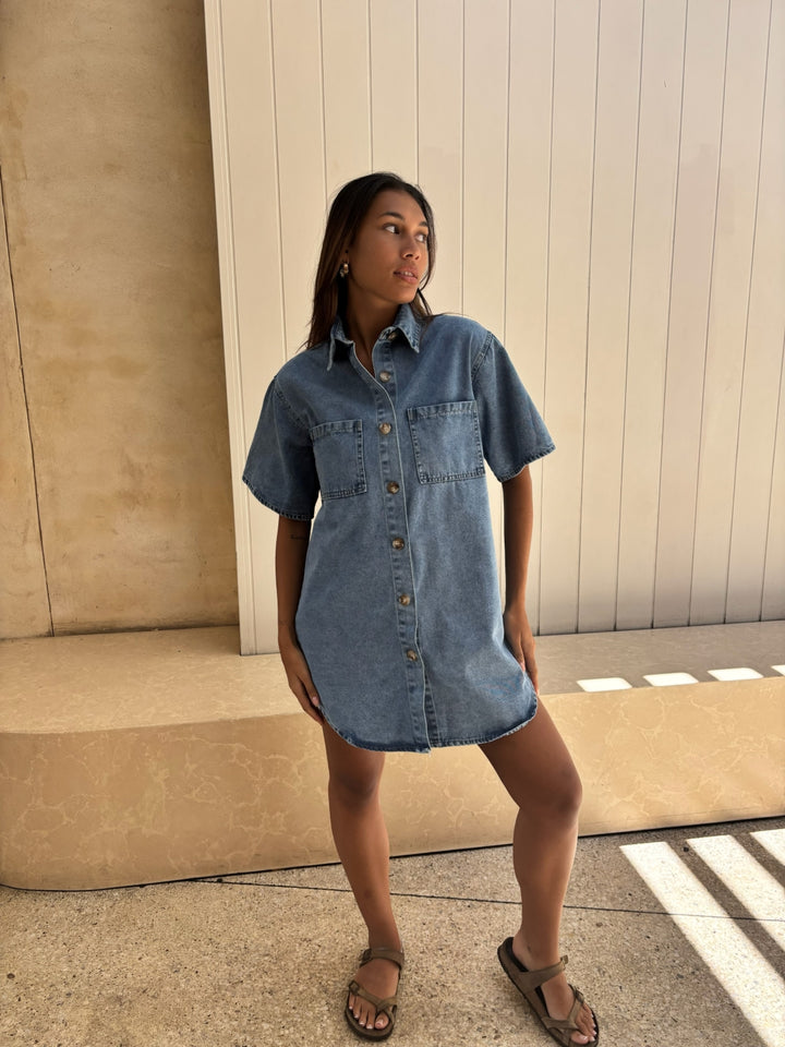 by frankie denim dress