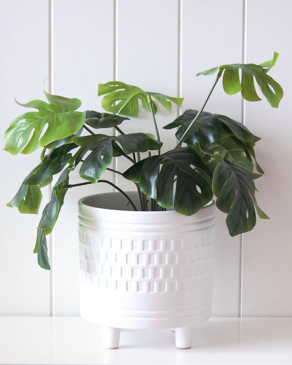 rayell ceramic planter with plant