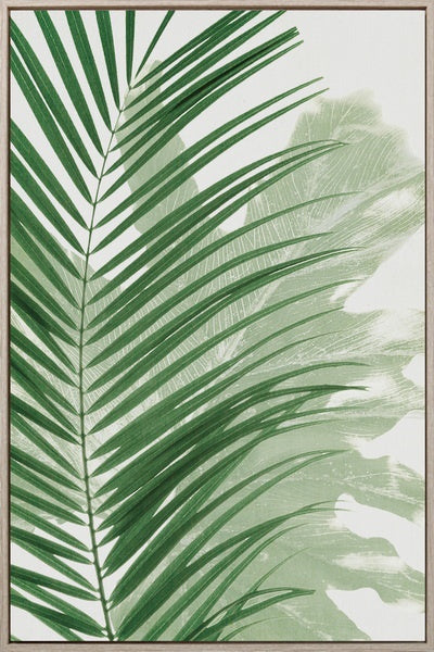 palm wall art by rayell